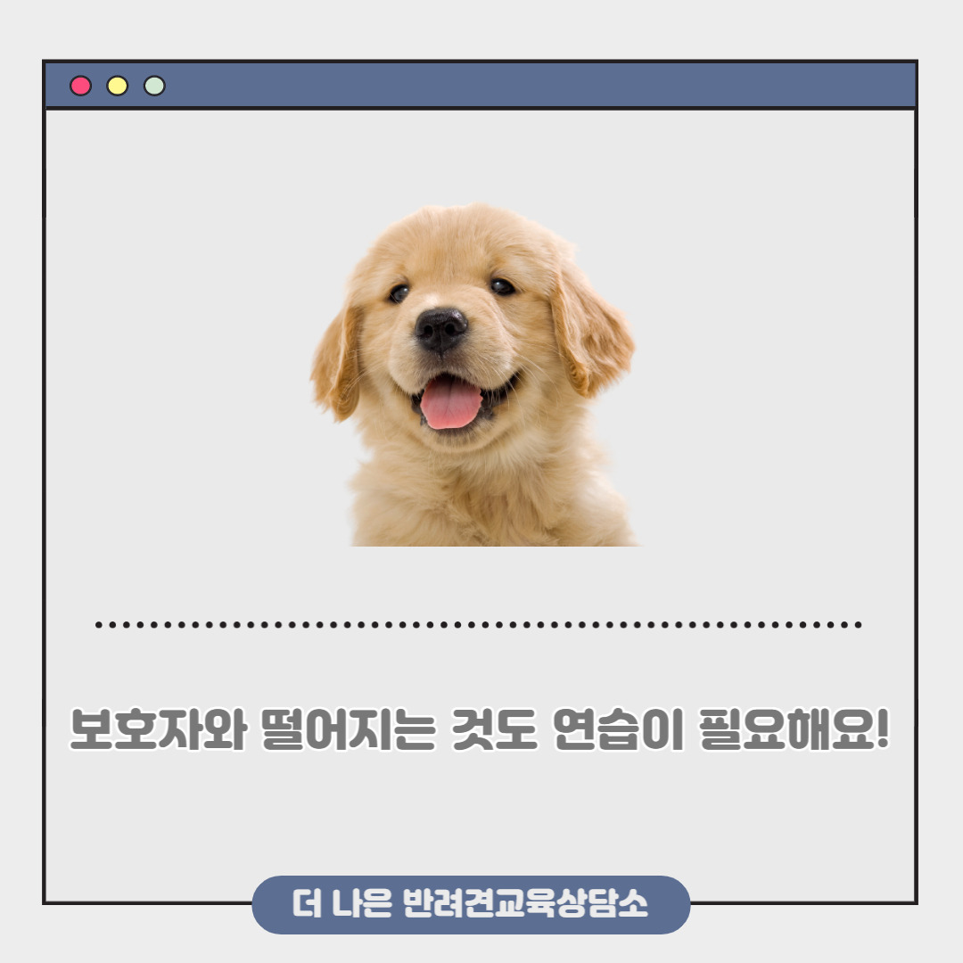 제목을 입력해주세요_-004.jpg