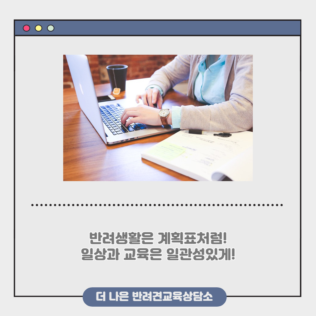 제목을 입력해주세요_-004 (3).jpg