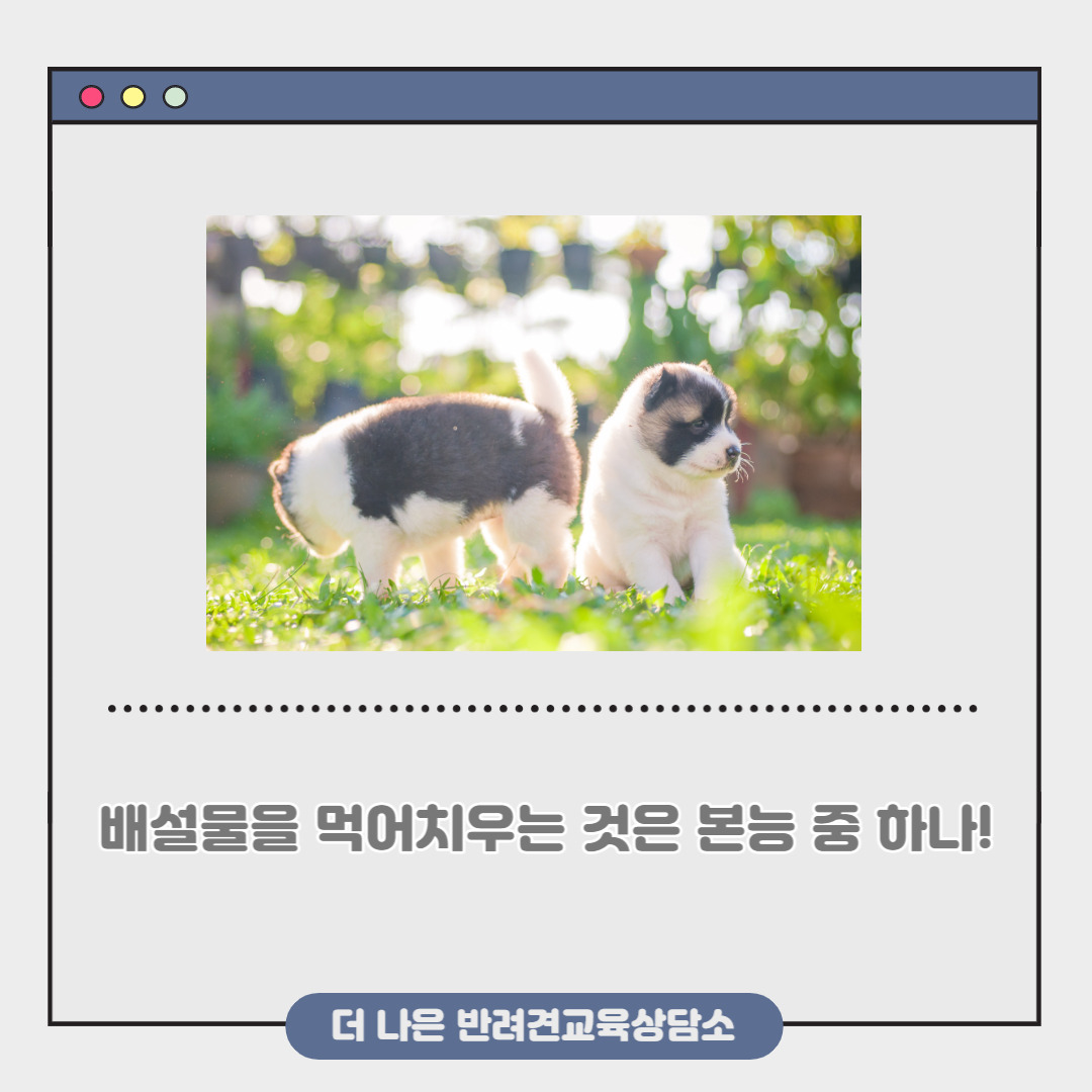 제목을 입력해주세요_-002.jpg