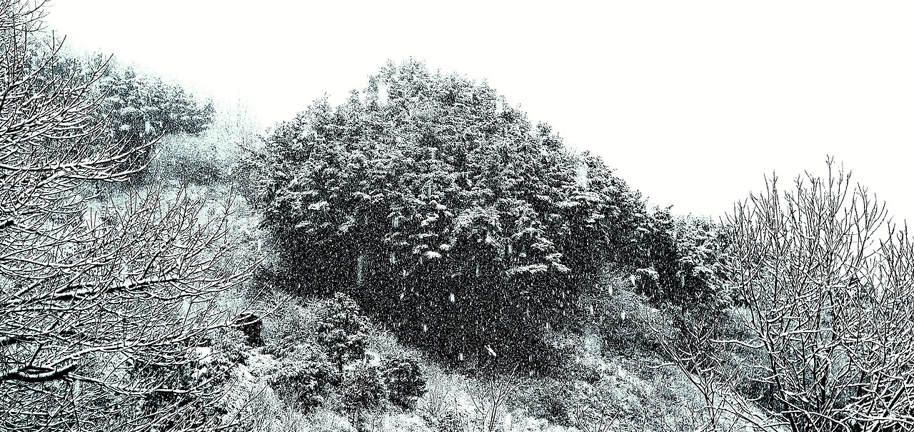 설경2.jpg