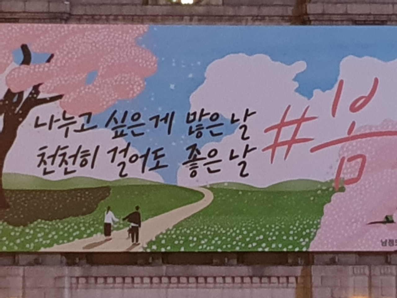 카덴차 이미지