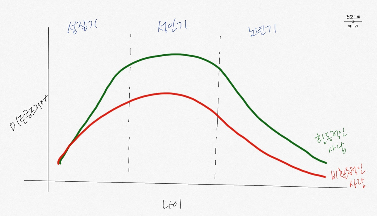 미토콘드리아 1.jpg