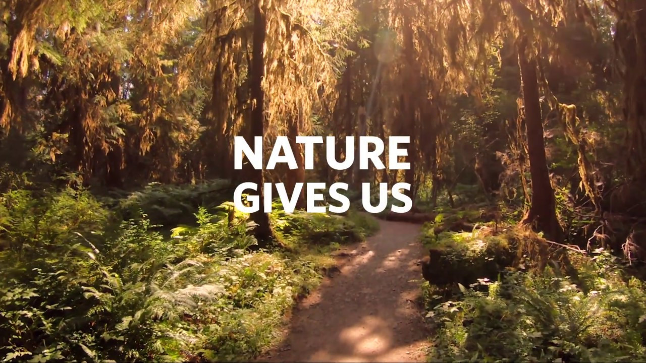 nature giver.jpg