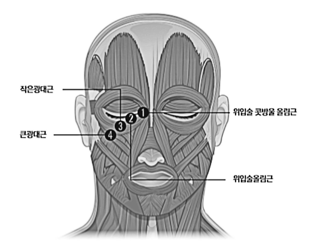 스크린샷 2020-12-03 오전 11.39.131.jpg