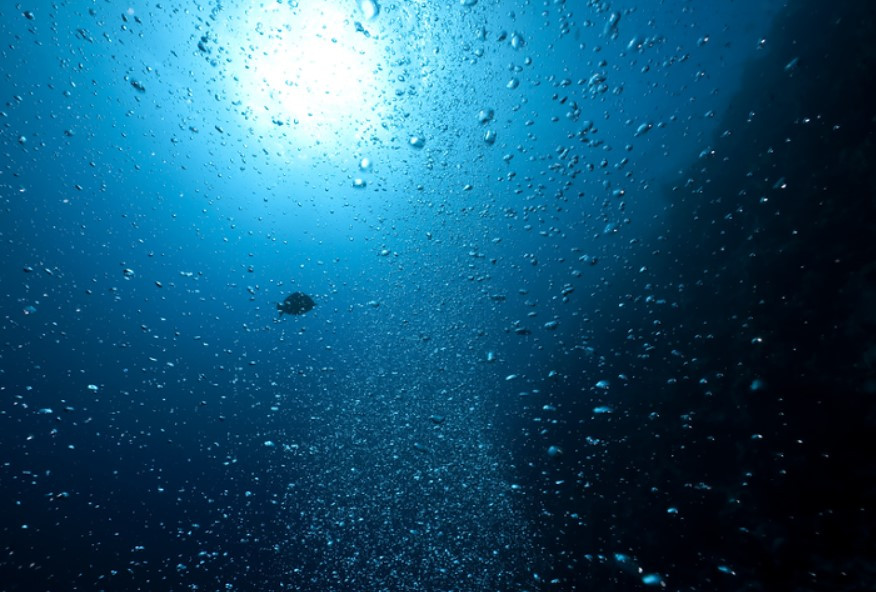 화면 캡처 2025-03-06 201111.jpg