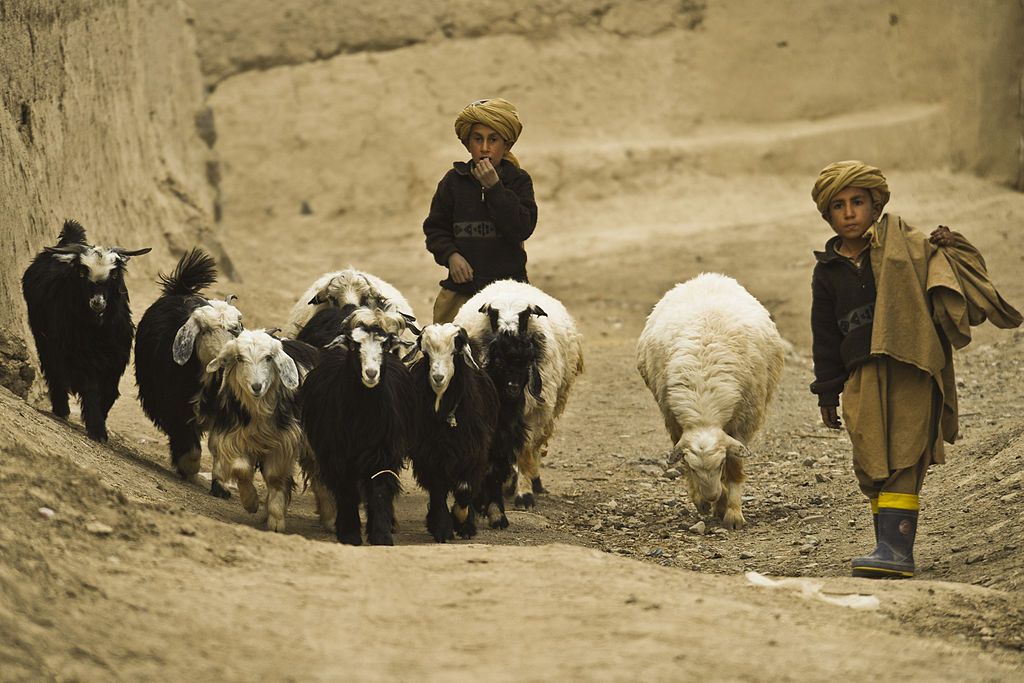 1024px-Afghan_herder_boys.jpg
