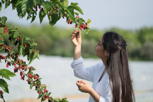 오디의 추억-2.jpg