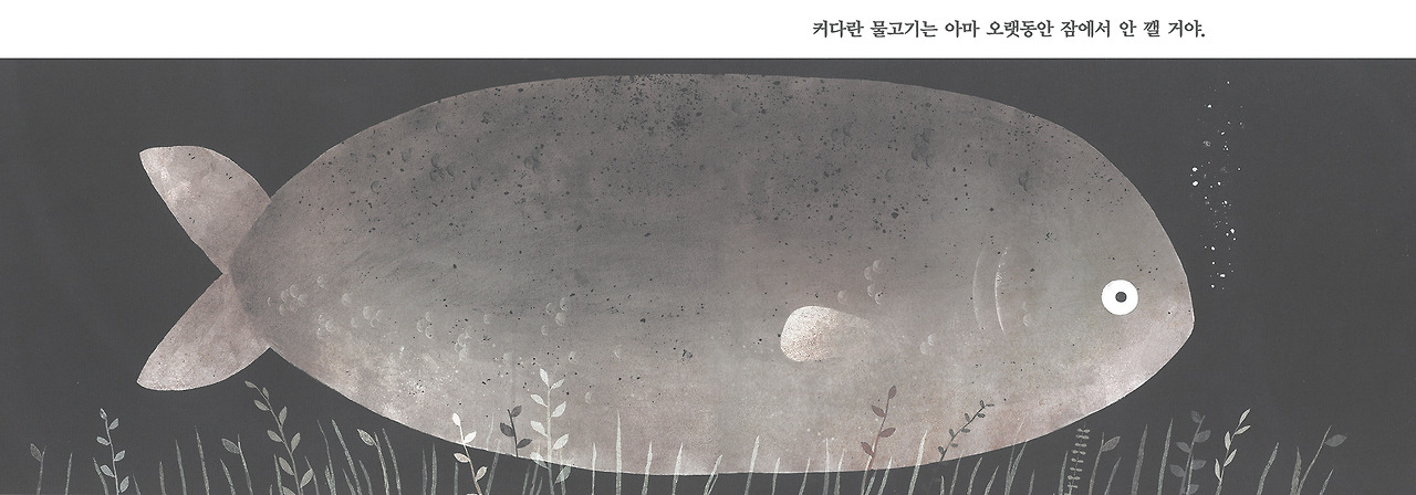 이건 내 모자가아니야.jpg