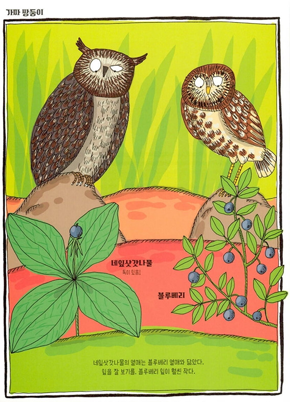 가짜쌍둥이 복사.jpg