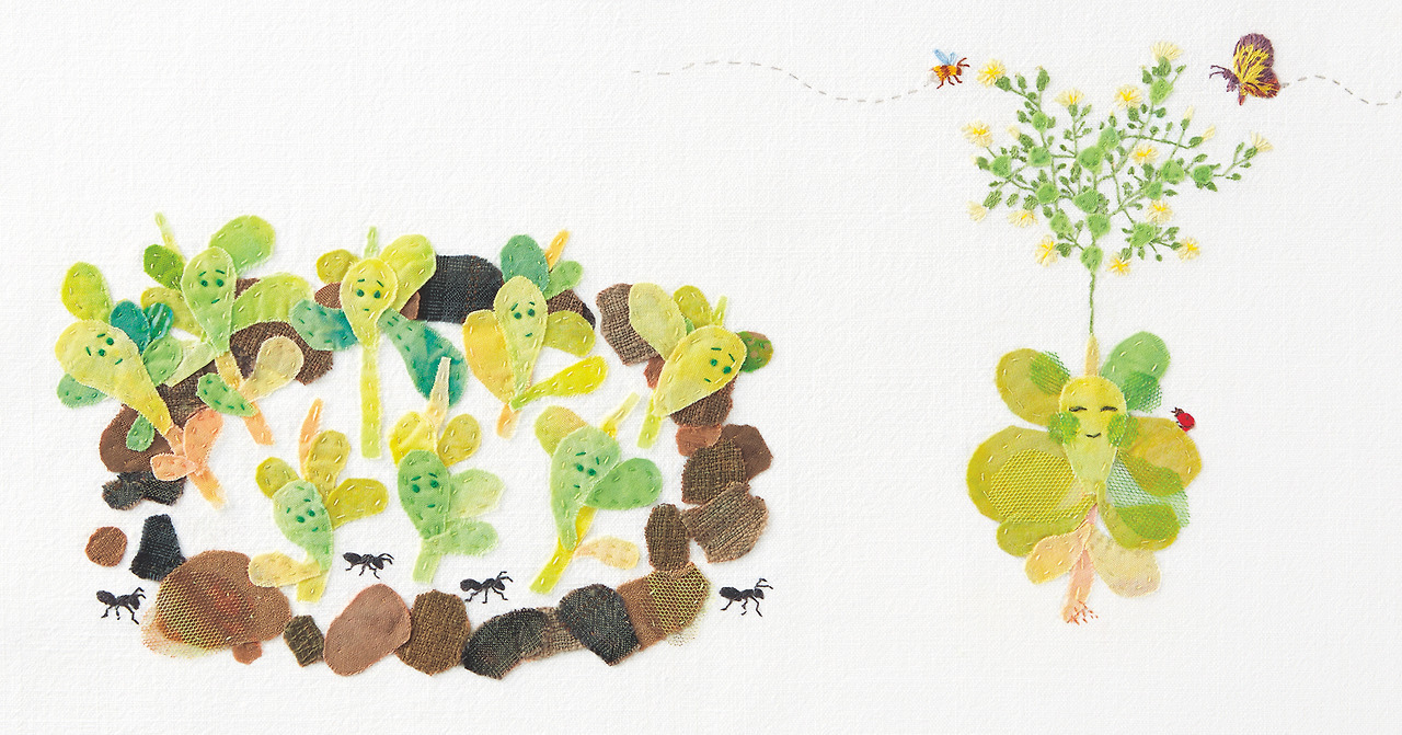 상추 3.jpg