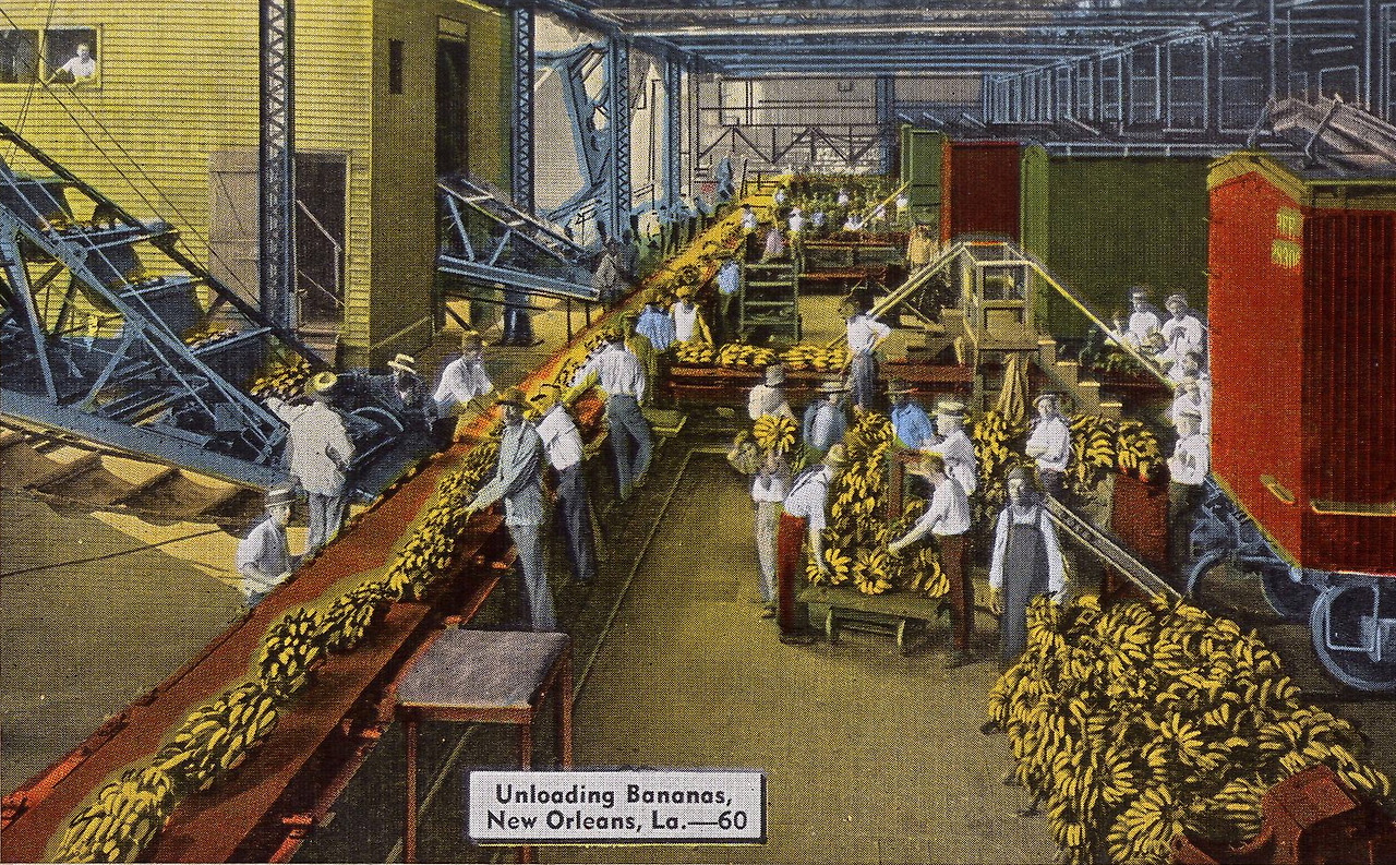 동네1-1910년경 뉴올리언스.jpg