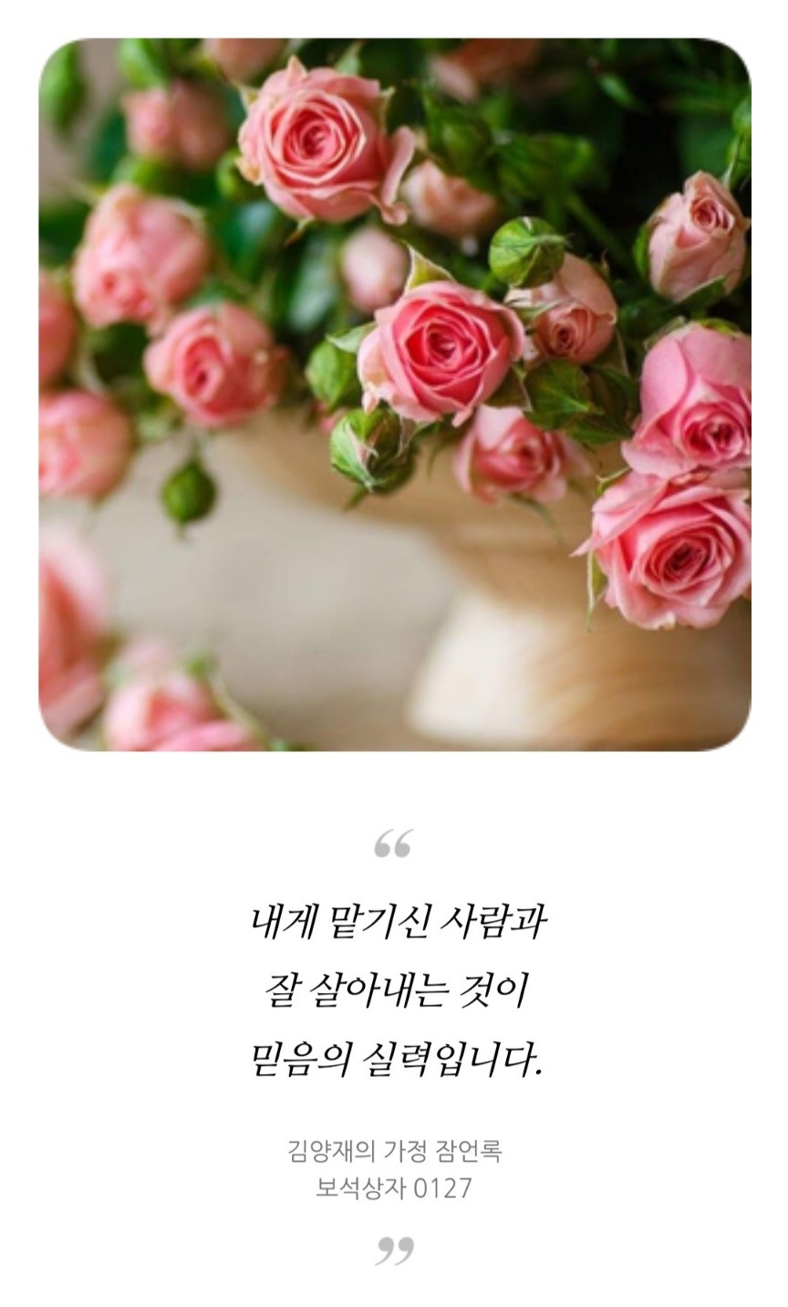 어머니의 땅 ( 고흥떡 이야기 일곱 번째)