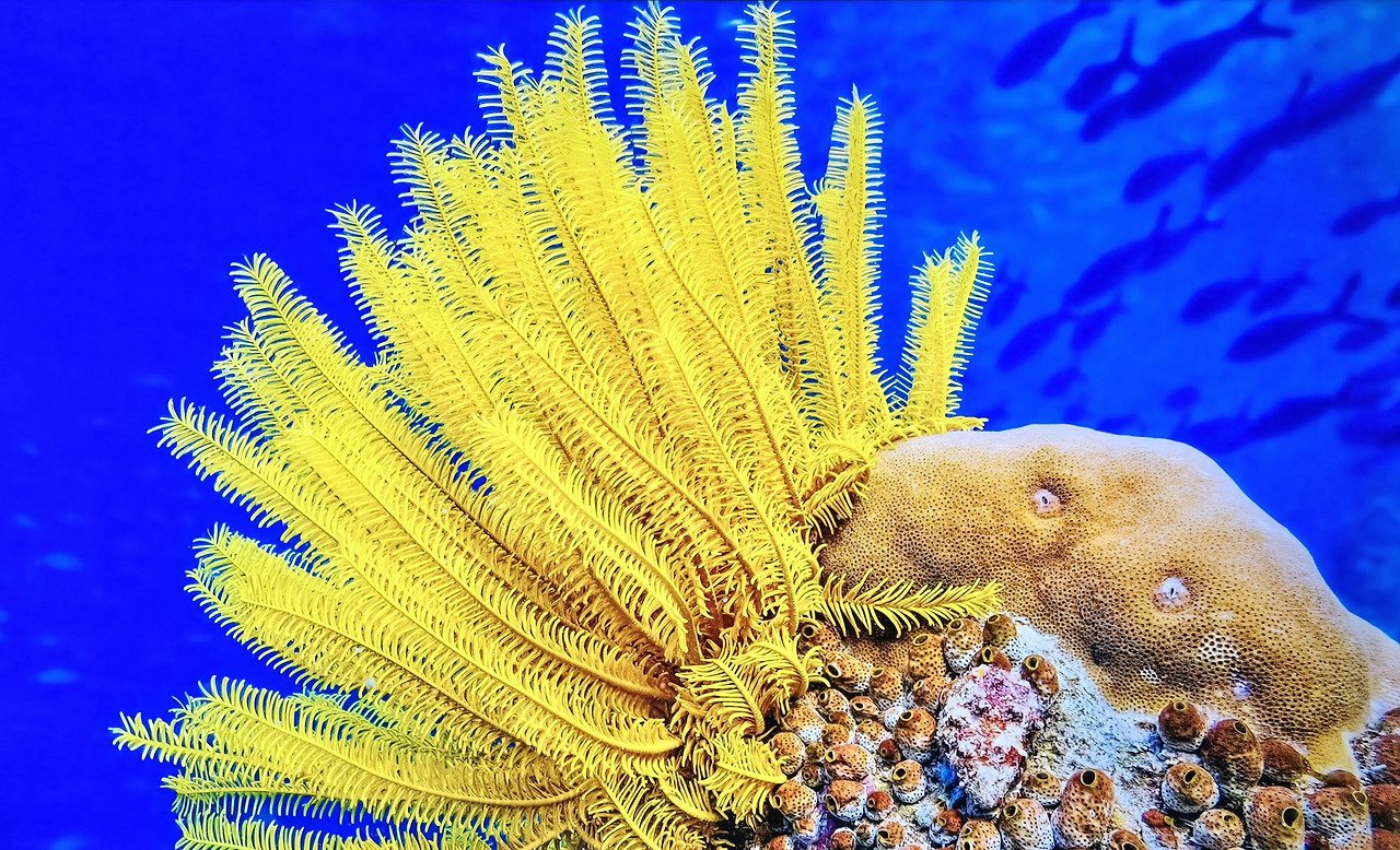 컴퓨터 바탕화면.jpg