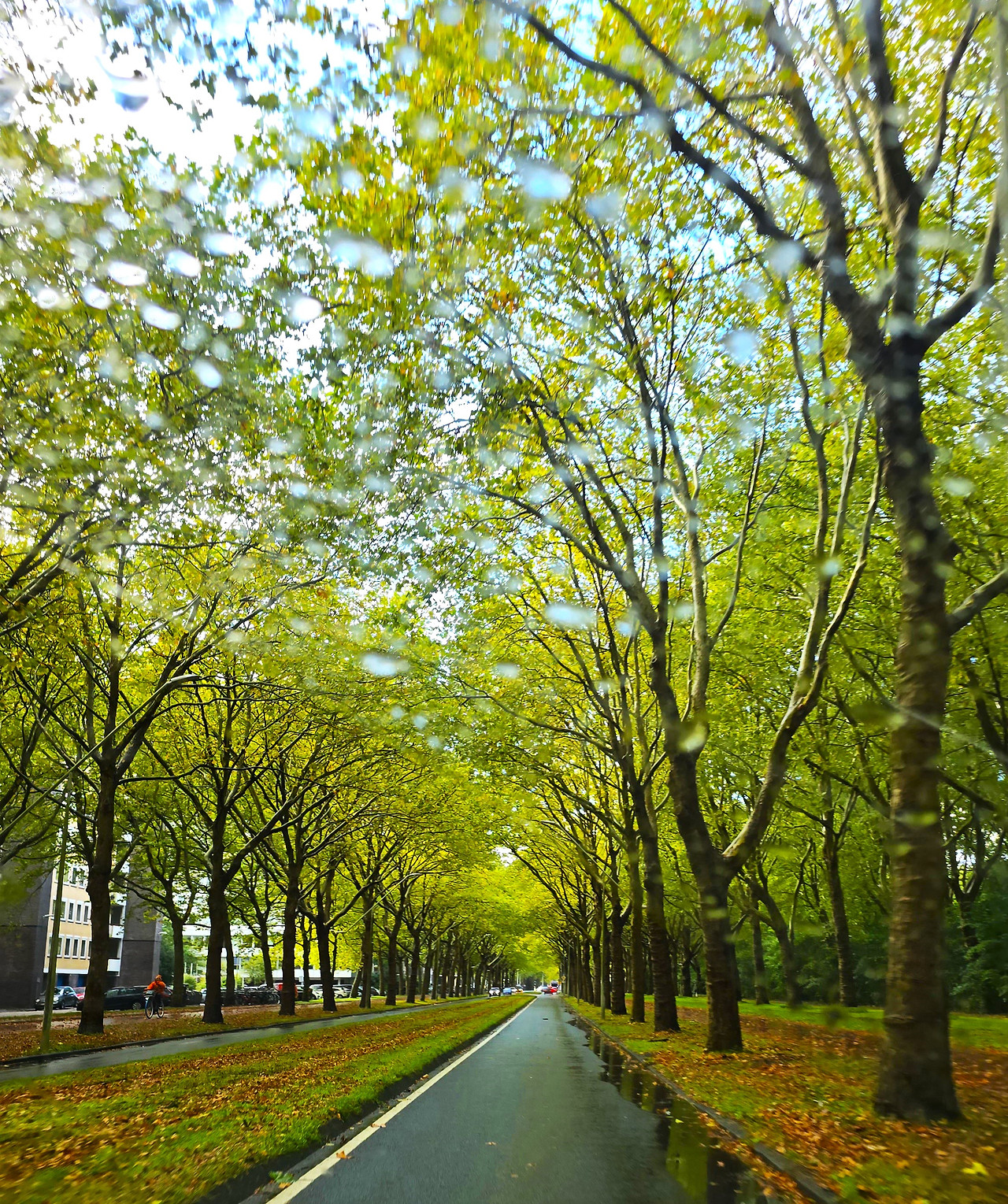 20240926_151811 (2).jpg