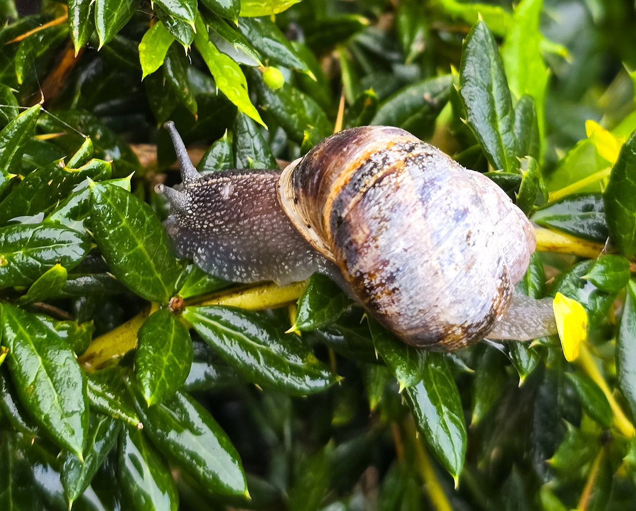 20240910_080059 (2).jpg