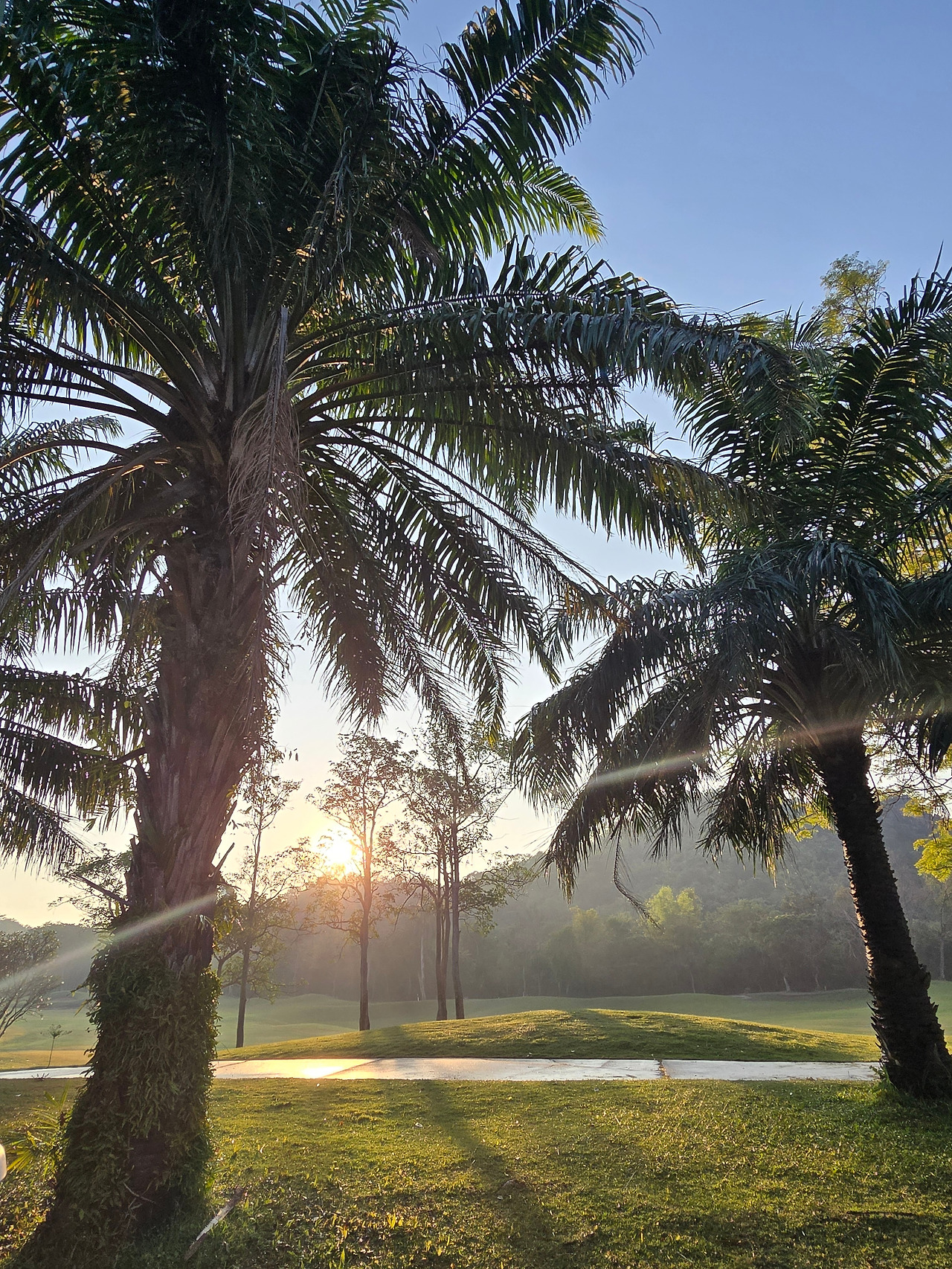 1월 1일 7시 32분.jpg