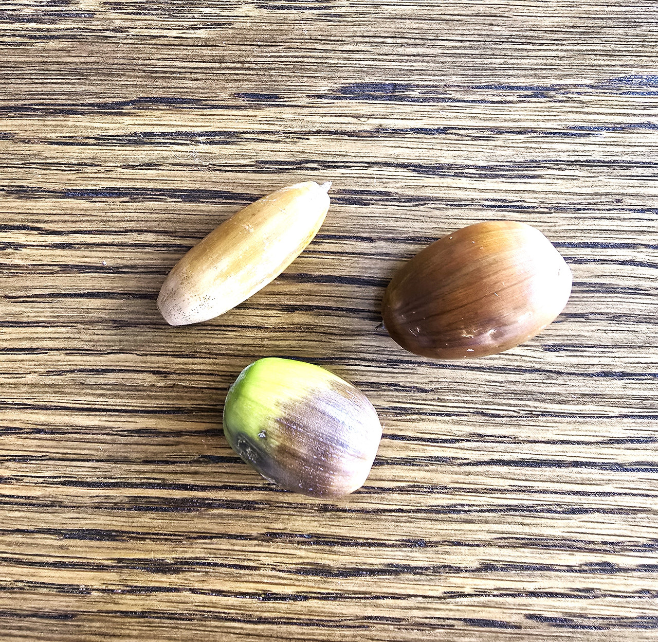 20240926_173119 (2).jpg