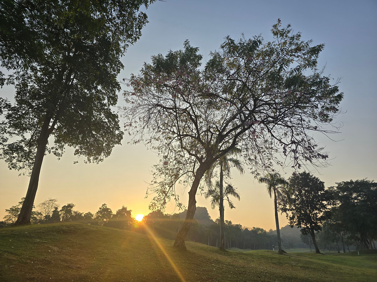 1울 1일 7시 14분.jpg