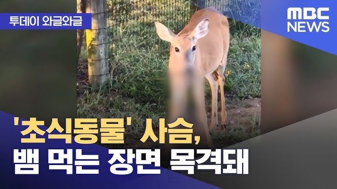 뱀먹는 사슴.jpg