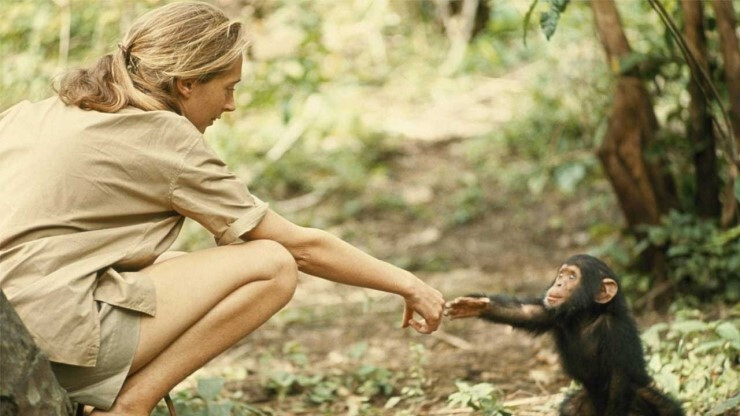 다운로드 (4).jpg