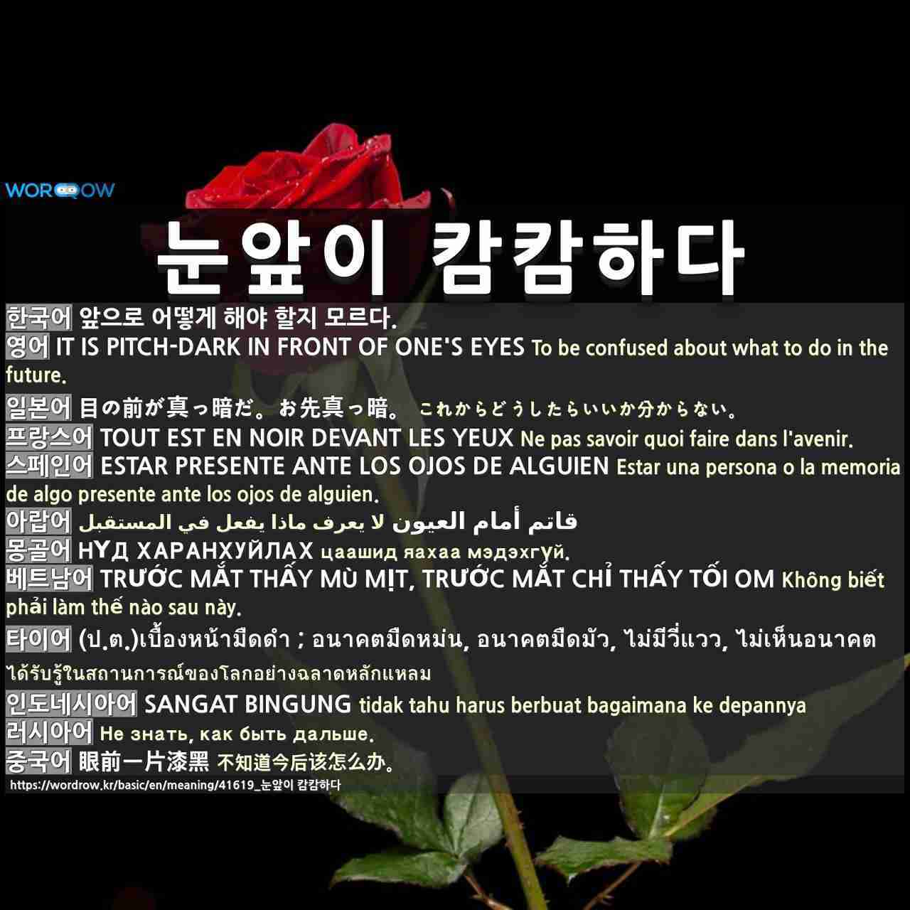 41619_눈앞이 캄캄하다_11.jpg