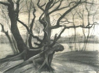 다운로드 (4).jpg