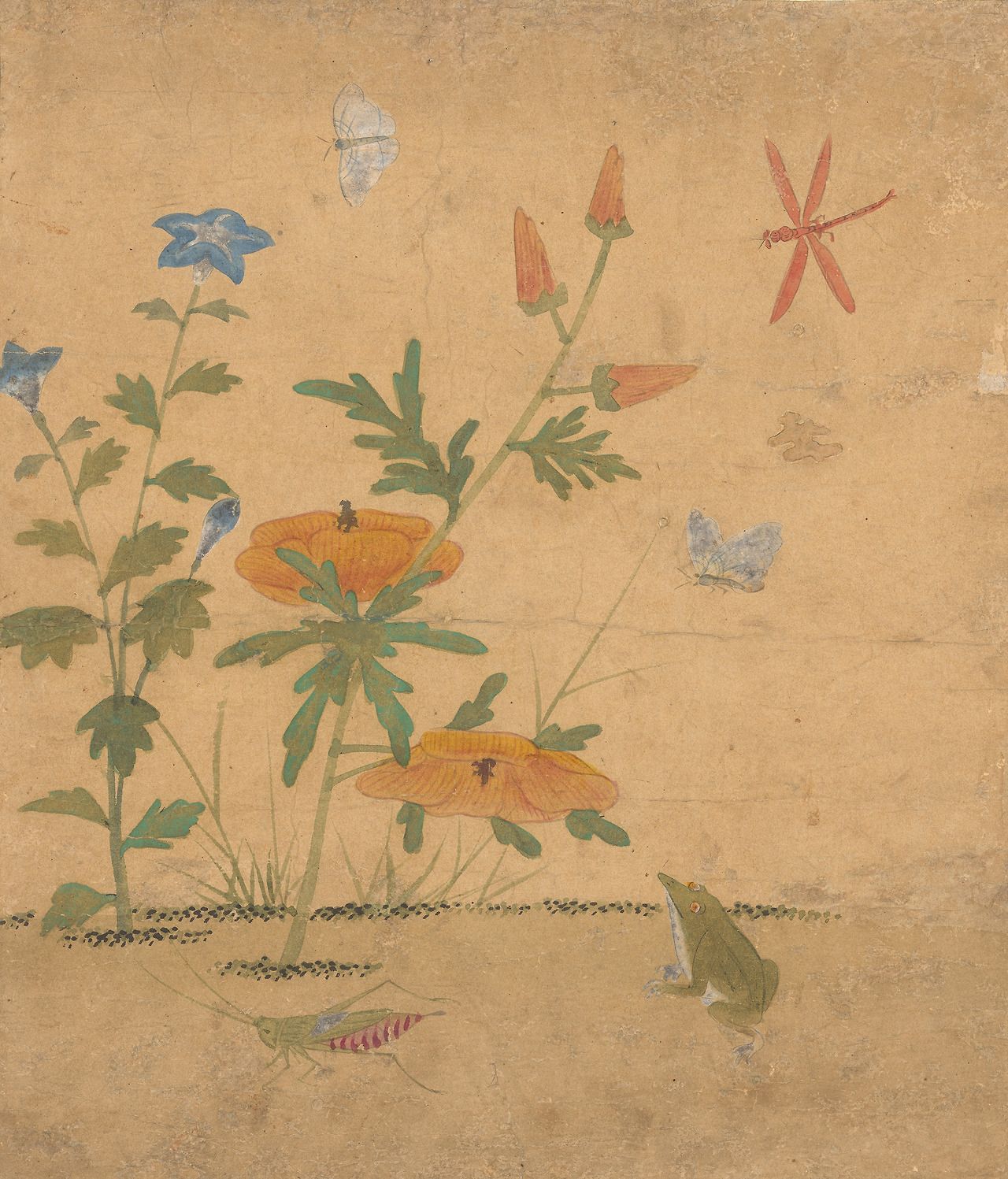 신사임당초충도-닥풀과개구리-국립중앙박물관이미지.jpg