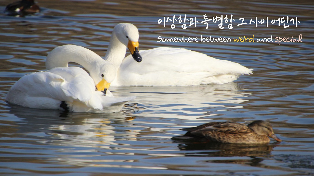 제목을-입력해주세요_-007 (1).jpg