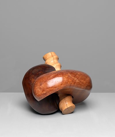 The Screw - Saloua Raouda Choucair.jpg