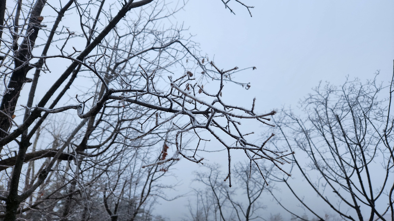 겨울풍경 (1).jpg