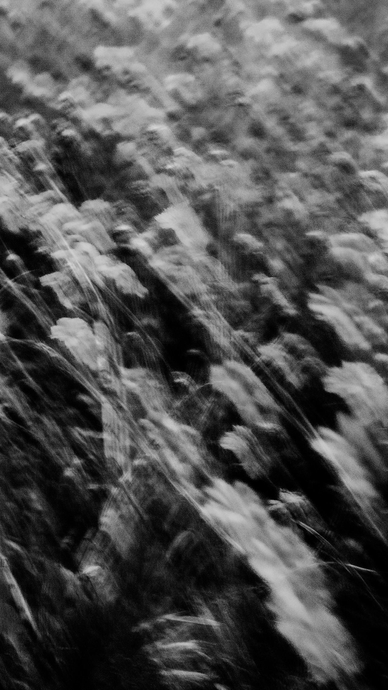 DSC00043 복사 복사.jpg