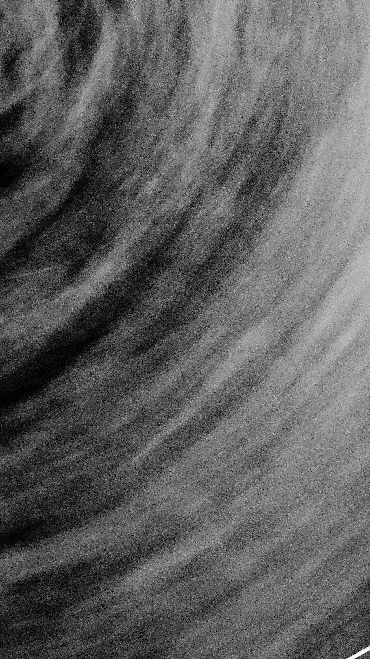 DSC00091 복사 복사.jpg