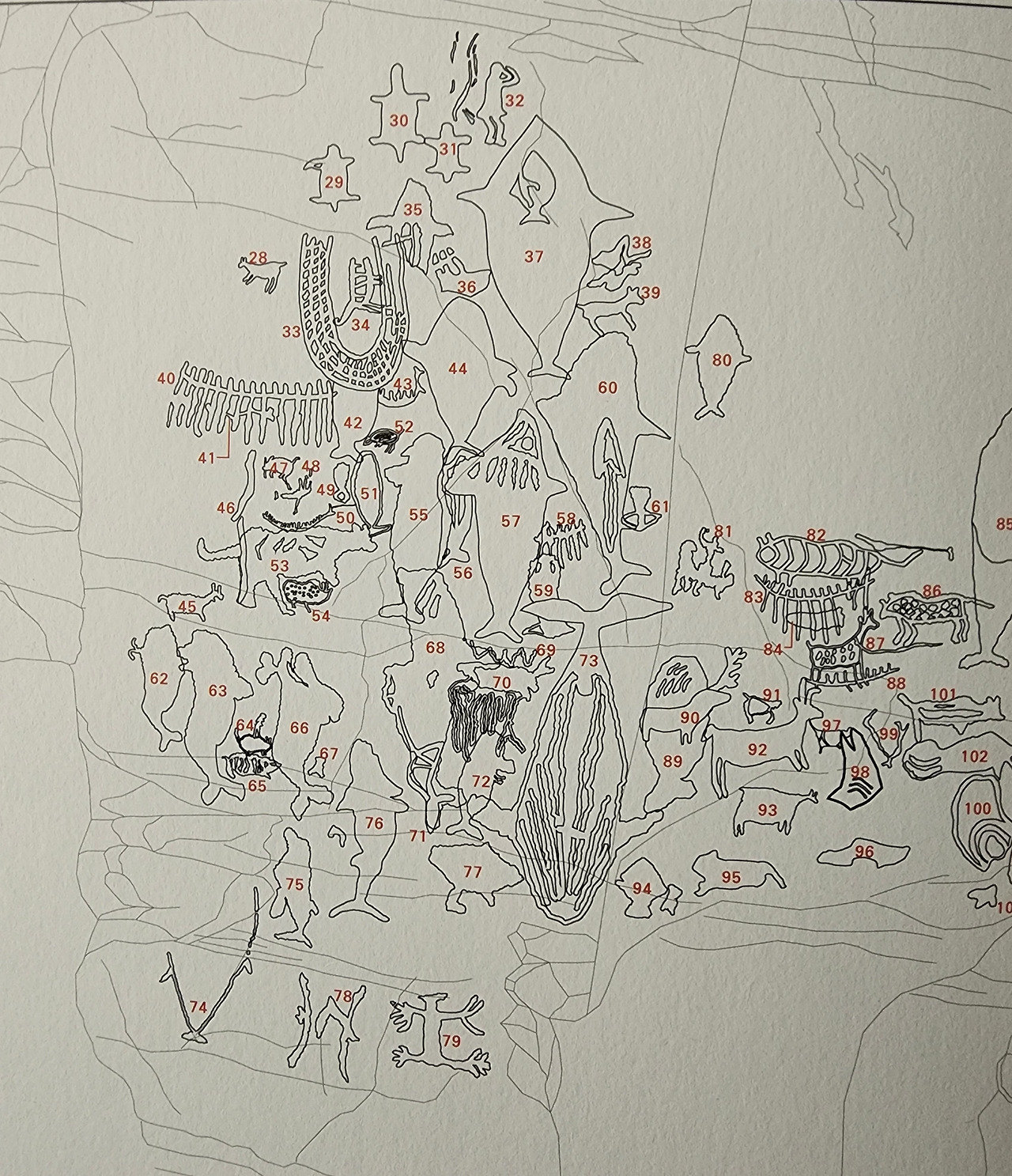 626364긴수염고래73혹등고래37귀신고래애기밴고래60작살맞은고래32사람49배 (8).jpg