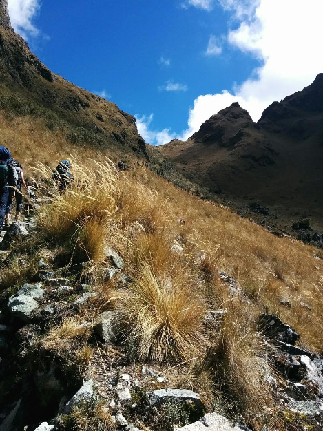 IMG_20160618_112557 (1).jpg