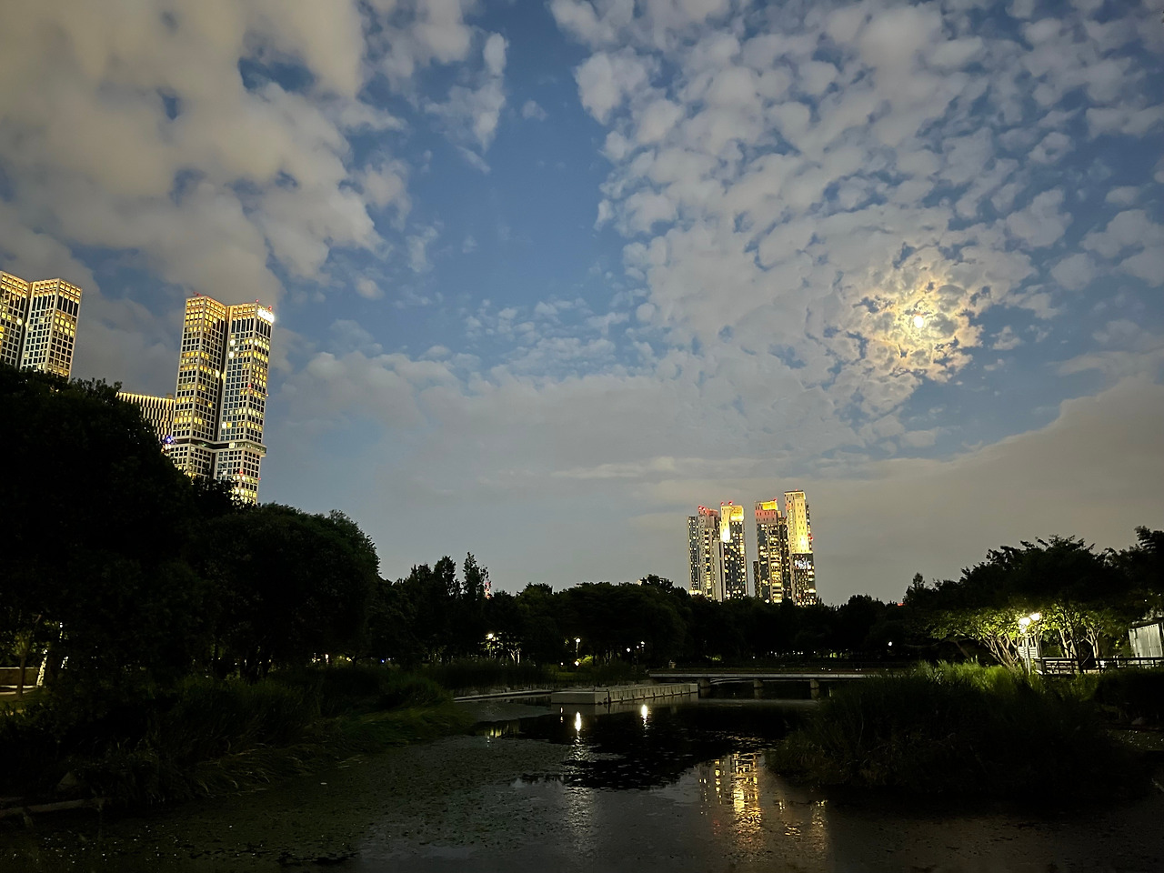 부동산 대신 '포레스트 검프' 보고 OO을 사자!