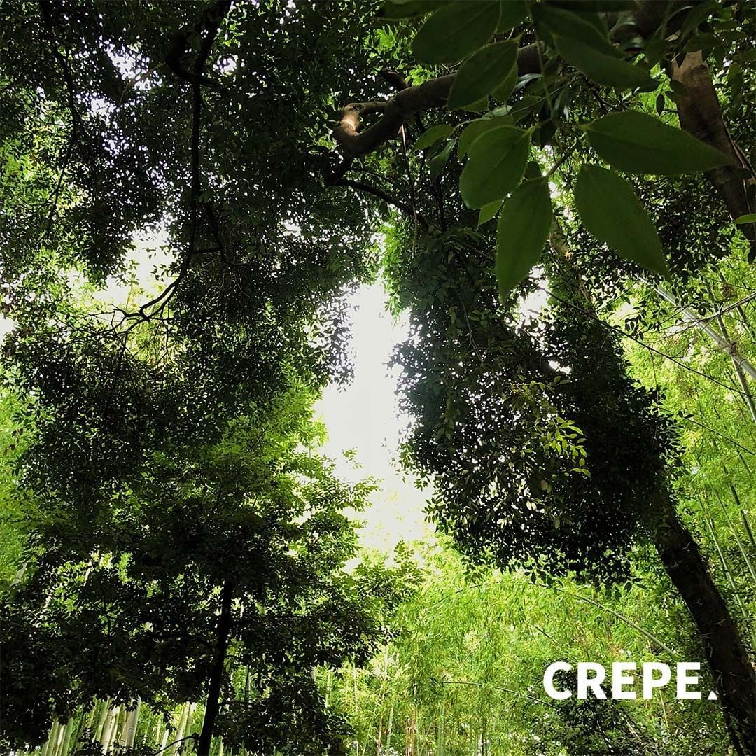 아라시야마+치쿠린⠀아라시야마는+교토+서쪽의+관광지로+유명한+곳입니다.+아라시야마+산과+아타고+산이+만드는+협곡+사이를+지나는+강이+넓게+펼쳐지는+지역이에요.+교토하면+ (1).jpg