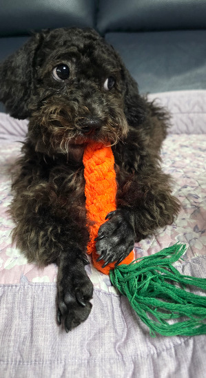 20251016_142946 - 복사본.jpg