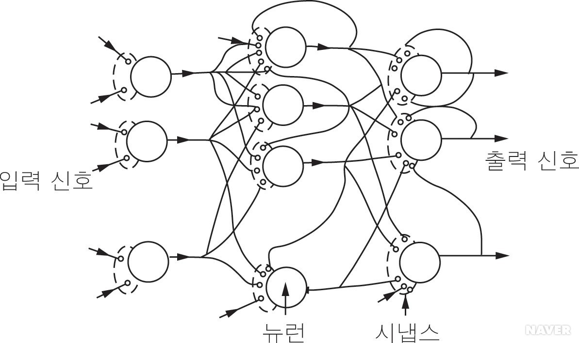 신경망.jpg