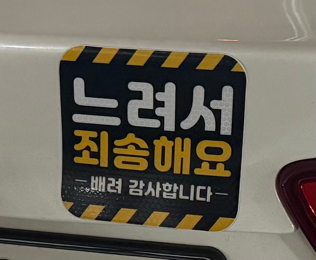 카지노 게임 추천