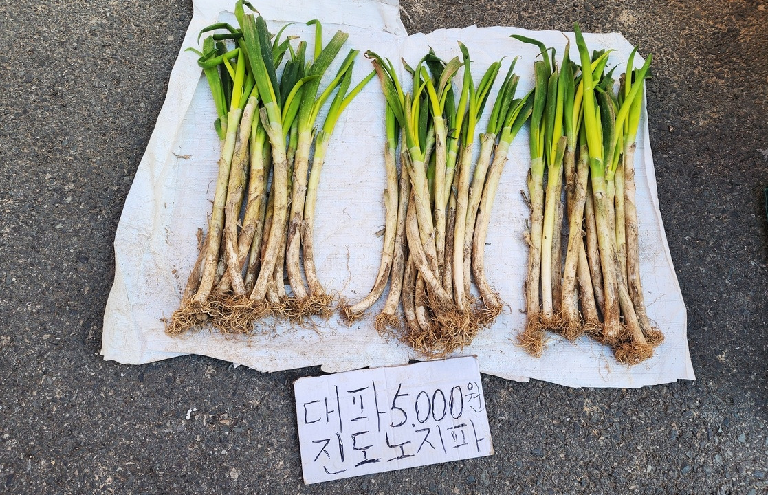 대파_수정1117.jpg