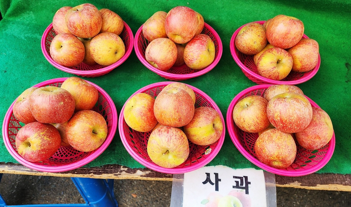 사과_수정1222.jpg
