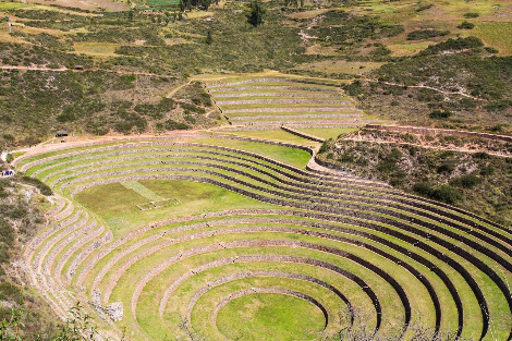 살리나스 모레이(5).jpg