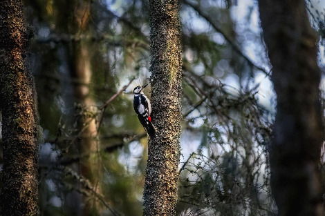 '왜요'라는 이름의(1).jpg