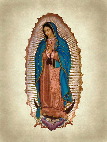 our-lady-of-guadalupe-ge47ac9083_1920.jpg