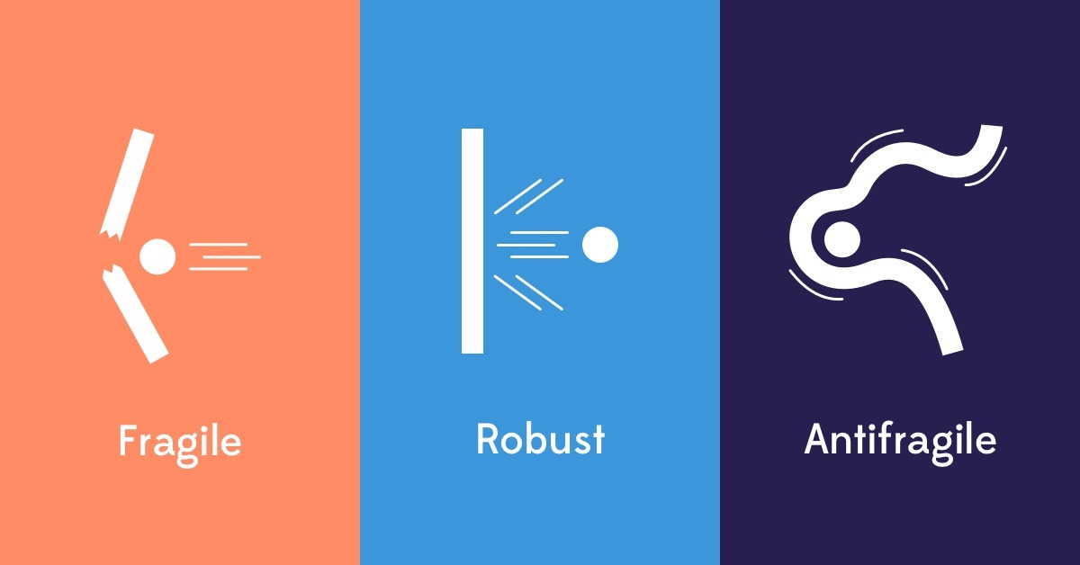 Purpose-resilience-and-antifragility.jpg
