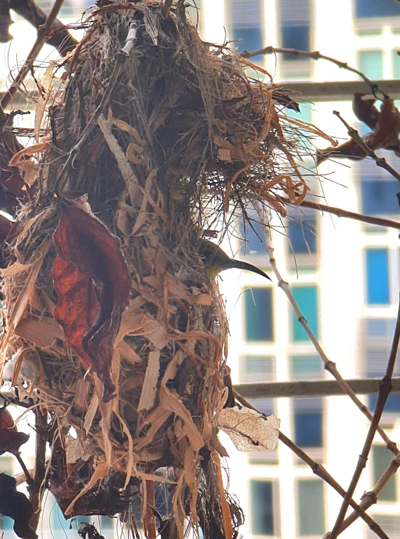 20240805_163644 (1).jpg