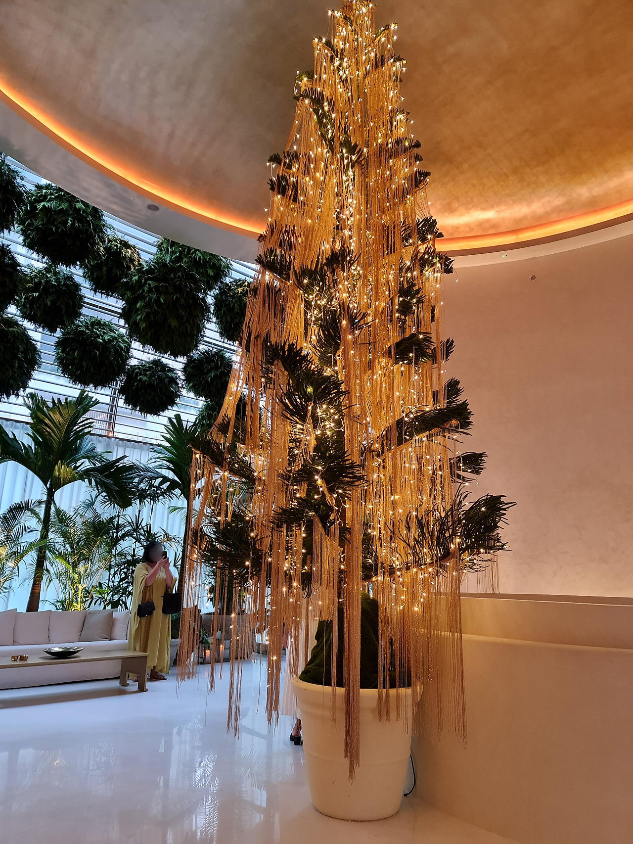 Point Blur_Dec272023_170537.jpg