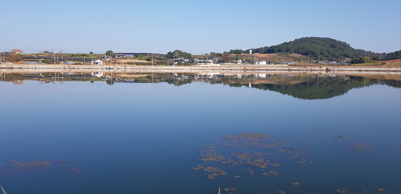 고향저수지_20211031 (2).jpg