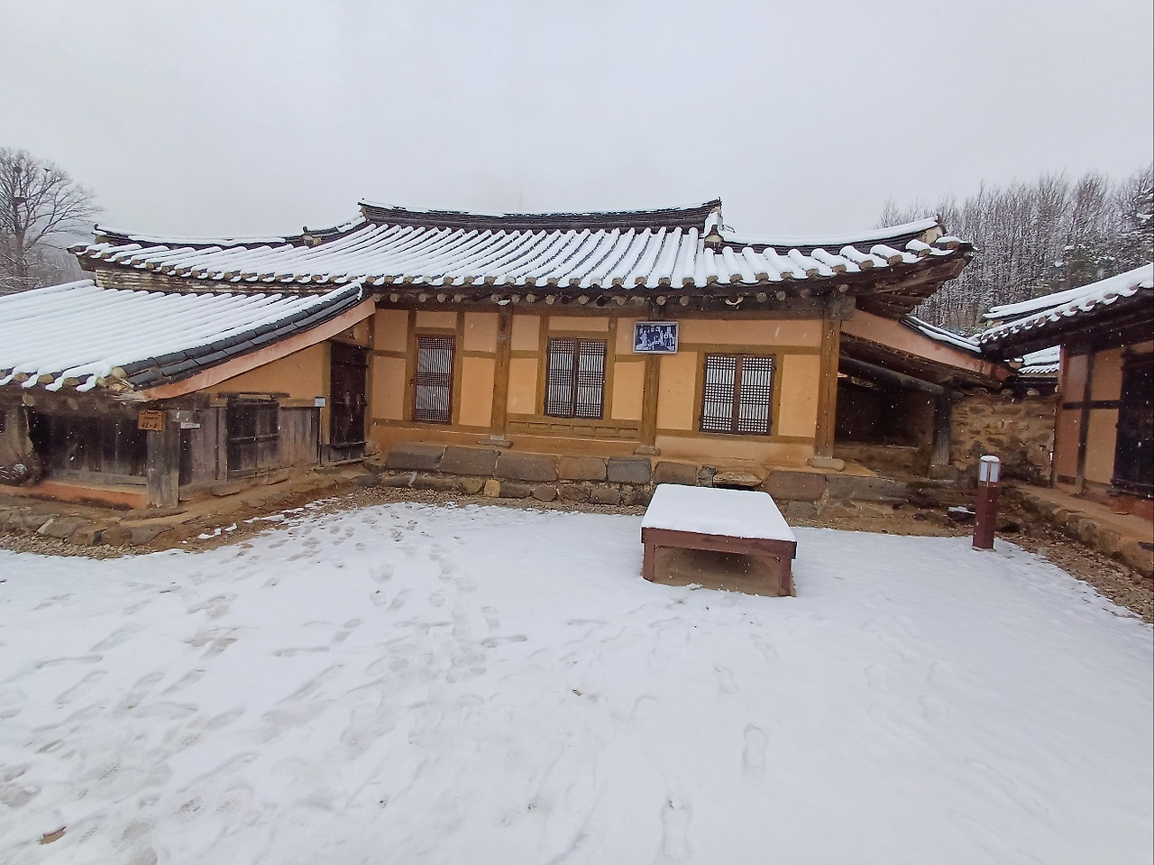 동주의 마당.jpg