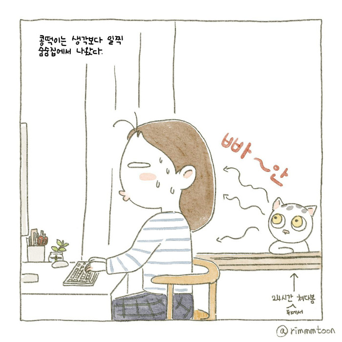 종이_A4크기 38.jpg